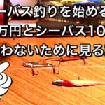 【初心者以外視聴不要】シーバス釣り入門者にこれだけは伝えたい事 3選