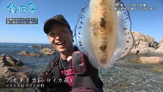 【釣り百景】#342 夏のイカ釣り特集！多彩な釣法で様々なイカを狙う！