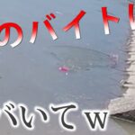 【バス釣り】トップウォーター！このルアー楽しすぎん？梅雨！夏！おすすめデプスのMTウエイク！