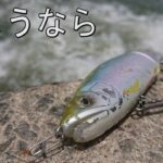 激流の中にビックベイトを投げると。。【バス釣り】ジョイクロ