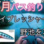 【埼玉　バス釣り】超有名野池でバス釣り！ 梅雨の野池で楽しむ！