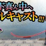 野池バス釣り３大祭りの一つがコレです。