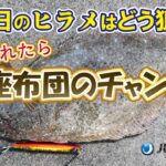 時化サーフは座布団ヒラメへの近道♪井上流攻略解説!!