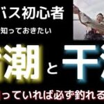 【シーバス釣り】満潮と干潮どっちが釣れる？永遠のテーマに切り込み初心者でも正しい知識を手に入れるための基礎講座！