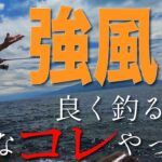 【初心者必見】エギング横風対処法！　現場で優しく教えます