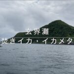 ”玄界灘”狙うはケンサキイカ・ヤリイカ ！100杯達成か⁉︎パラソル級は現れたか⁉︎夜焚きイカメタル釣行！イカ釣り