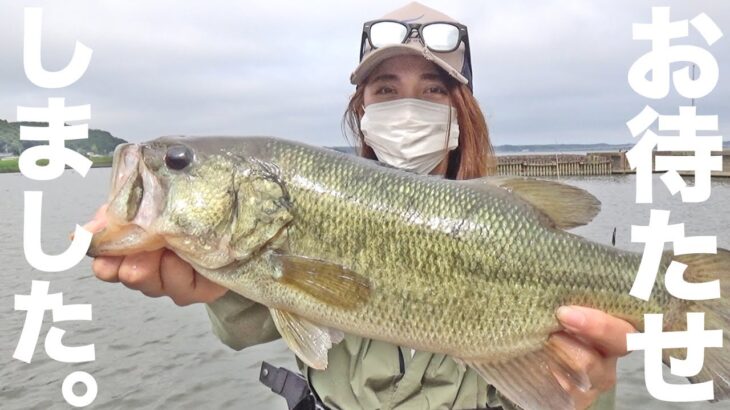 釣りガールに3ヵ月ぶりのブラックバスだー！！【霞ヶ浦/北浦/バス釣り】