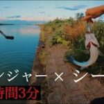 【シーバス釣り】鱒レンジャー釣行時間3分      short time fishing