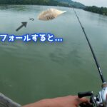 【バス釣り】禁断のリグでデカバス連発！？7月の府中湖で最も釣れるルアーはこれだ…【ブラックバス】