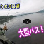 バス釣りのメッカ・河口湖で○○が！？Bass fishing in Japan