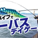 鉄板バイブで友達にシーバスの釣りの楽しさを教えてみた！Let’s seabass fishing!!