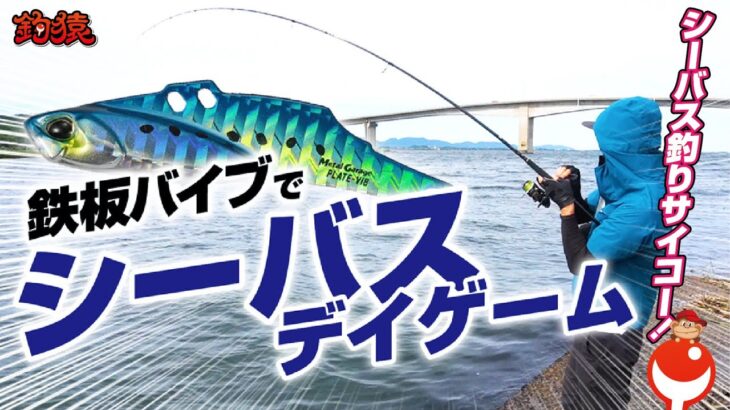 鉄板バイブで友達にシーバスの釣りの楽しさを教えてみた！Let’s seabass fishing!!