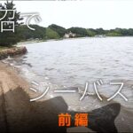 涸沼（ひぬま）でシーバス釣りPart１：TVイバラキ