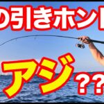 アジなのか？ それとも？  お気軽バチコンアジング in 横浜【前編】