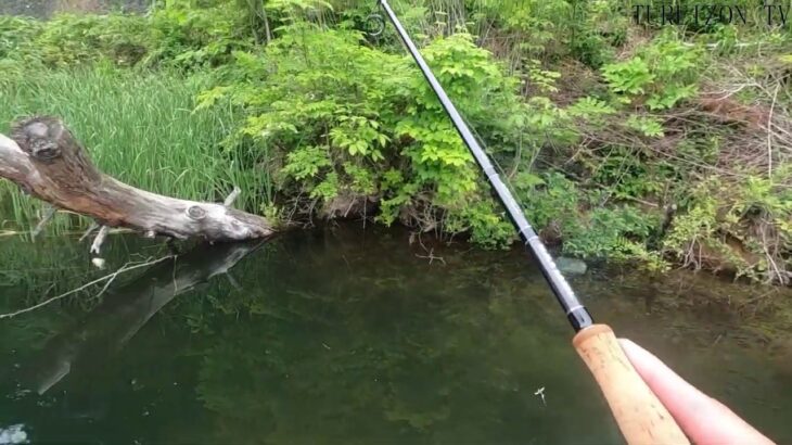 あまり教えたくないけど・・・よく釣れるルアーみ～つけた！！！ #バス釣り#釣れるルアー#長野県#聖湖