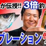 【バイブレーションの使い方】素材選び・重さ選び・３つの釣法！基本ルアーで差が歴然！オヌマンのシーバス塾