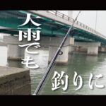 【名港】大雨でも決死のシーバス釣り‼︎【潮見橋】