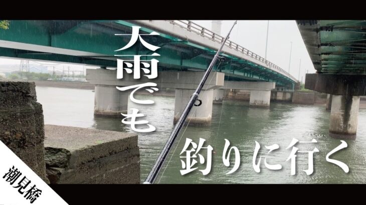 【名港】大雨でも決死のシーバス釣り‼︎【潮見橋】