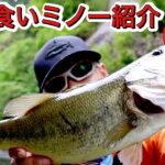 釣れ過ぎ注意！入れ食いルアーご紹介 #バス釣り