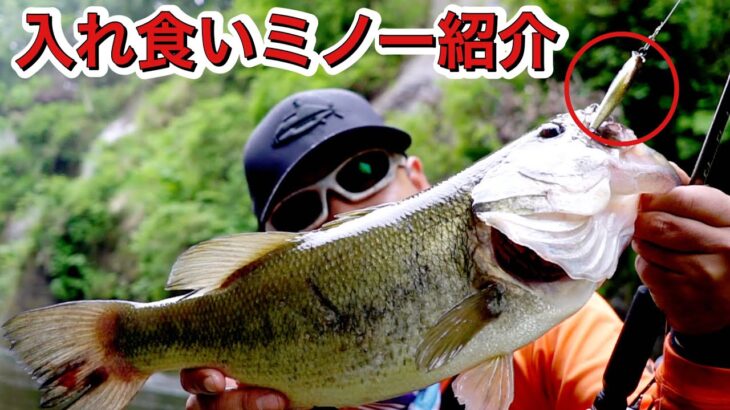 釣れ過ぎ注意！入れ食いルアーご紹介 #バス釣り