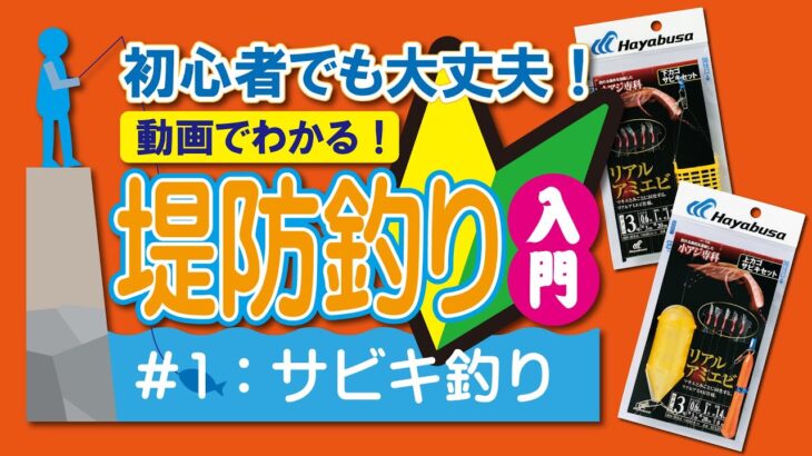 初心者でも大丈夫！動画でわかる！堤防釣り入門｜1サビキ釣り