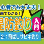 初心者でも大丈夫！動画でわかる！堤防釣り入門｜2飛ばしサビキ釣り