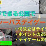 夏の東京湾で陸っぱりシーバスデイゲーム！若洲海浜公園でお手軽にルアーでシーバス釣りはいかが？【2020年8月東京の釣り】