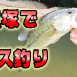 宝塚あそび【ブラックバス釣り】