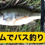 変幻自在！最強コスパの輪ゴムでブラックバス釣り！【埼玉県バス釣り】