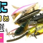 【バス釣り】夏のオカッパリ爆釣ルアー教えます！