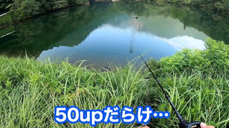 【バス釣り】初めて訪れた野池がヤバすぎた！！