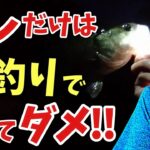 【絶対やるな】バス釣りの夜釣りでやってはいけないルール