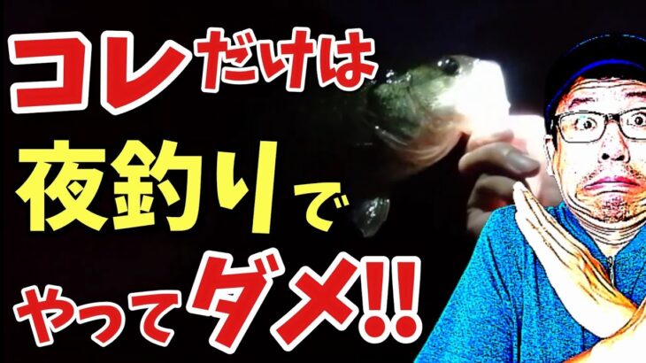 【絶対やるな】バス釣りの夜釣りでやってはいけないルール