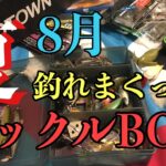 【バス釣り】８月の釣れまくってる私のタックルボックスおかっぱリ編