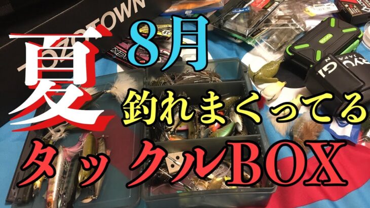 【バス釣り】８月の釣れまくってる私のタックルボックスおかっぱリ編