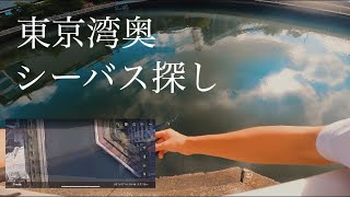 【シーバス釣り】東京湾奥に自転車でシーバス探しの旅へ