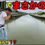 【バス&シーバス釣り】めっちゃ汚いドブ川で４魚種釣れる⁉︎　バス⁉︎シーバス⁉︎チヌ⁉︎ナマズ⁉︎