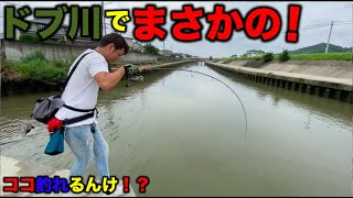 【バス&シーバス釣り】めっちゃ汚いドブ川で４魚種釣れる⁉︎　バス⁉︎シーバス⁉︎チヌ⁉︎ナマズ⁉︎