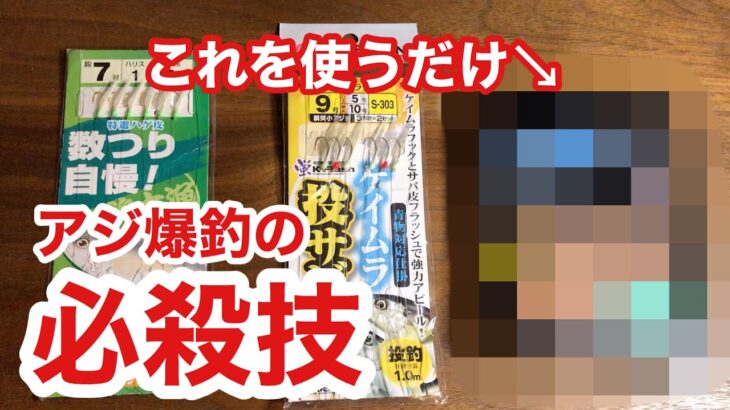 アジ釣りで爆釣する必殺技をご紹介。サビキ釣りの仕掛けにあるものを付けるだけでデカアジが釣れちゃいます