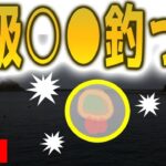 【一気見】釣り初心者が本気でイカの王様を狙ってみた