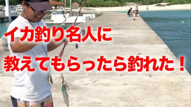 イカ釣り初心者が島のイカ釣り名人に教えてもらったらすぐ釣れた！｜