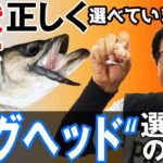 【ジグヘッドの選び方】シーバス釣りにオススメのジグヘッド教えます！オヌマンのシーバス塾