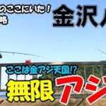 横浜金沢八景でアジのサビキ釣りをしたら金アジが無限爆釣！夕マズメ癖あるアジを攻略したら止まらない