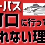 【シーバス】河口部でも釣れない？釣れる河口部の共通点を一挙に公開します！