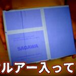 絶対にバス釣りルアーが入っている！謎の小包が届いた、、、 #バス釣り