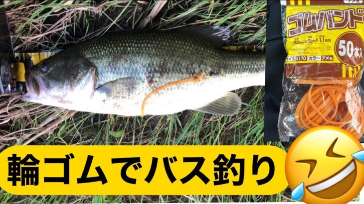 変幻自在！最強コスパの輪ゴムでブラックバス釣り！【埼玉県バス釣り】