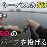 【旧江戸川】100均のダイソーのメタルバイブが釣れるらしいので、都内のシーバス釣りの聖地で3時間投げ続けてみたら…【2020.08.31】