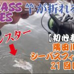 〈21回目 シーバスフィッシング〉東京湾奥隅田川【初心者釣りデイゲーム】モンスター現るぅぅぅ～！！！竿が折れるぅぅぅ！