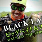 内山幸也 【BLX】ビッグベイト＆フロッグWALK ON THE STRONG SIDE｜Ultimate BASS by DAIWA Vol.274