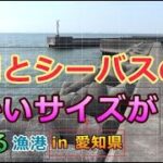 黒鯛釣りフカセ・落とし込み＆シーバス釣り河口堤防の釣り場紹介 in 愛知県